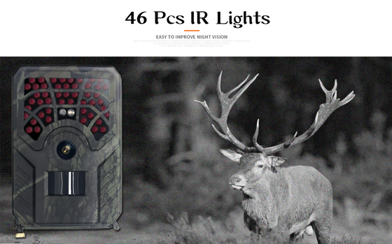APPLI sans fil de la caméra i1296P IP54 Warterproof PIR de chasse de PR300C WIFI